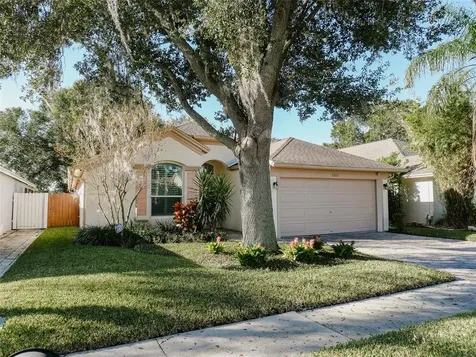 6806 Mirror Lake Avenue Tampa FL 33634