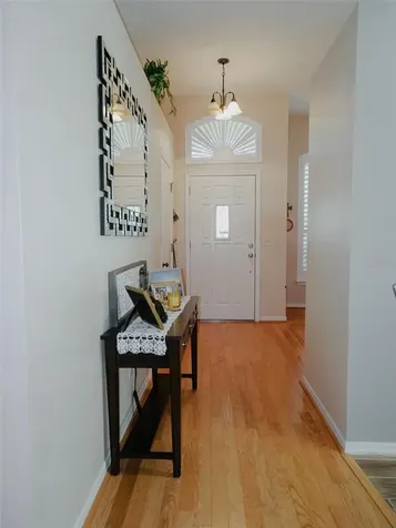 6806 Mirror Lake Avenue Tampa FL 33634