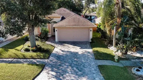 6806 Mirror Lake Avenue Tampa FL 33634