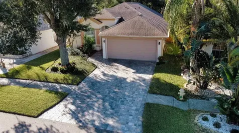 6806 Mirror Lake Avenue Tampa FL 33634