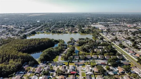 6806 Mirror Lake Avenue Tampa FL 33634