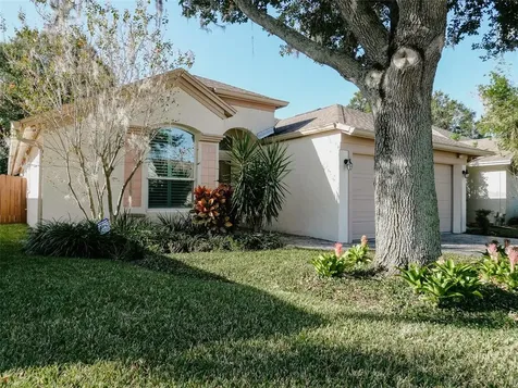6806 Mirror Lake Avenue Tampa FL 33634
