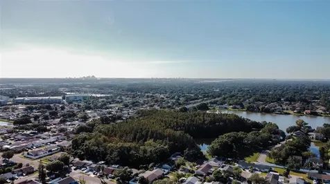 6806 Mirror Lake Avenue Tampa FL 33634