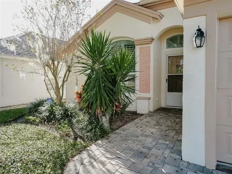 6806 Mirror Lake Avenue Tampa FL 33634
