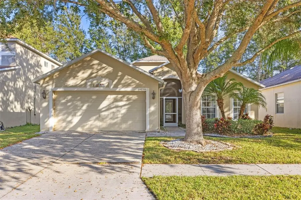 35039 Meadow Reach Drive Zephyrhills FL 33541