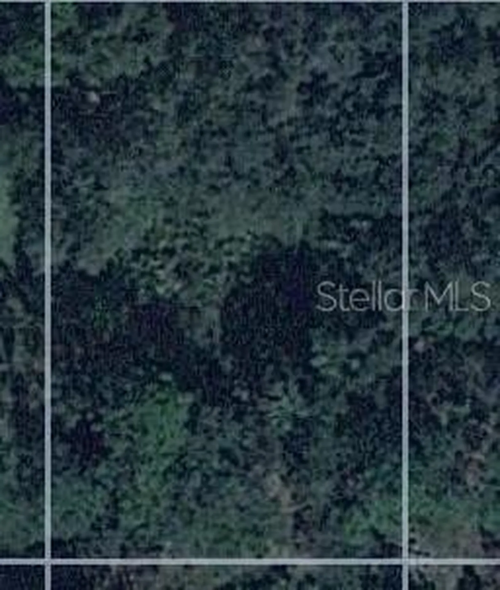 18359 Elgin Avenue Port Charlotte FL 33948