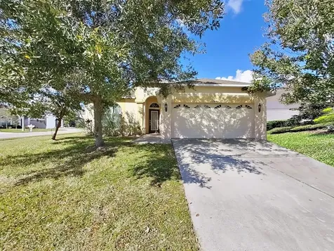 30541 Norseman Place Wesley Chapel FL 33545
