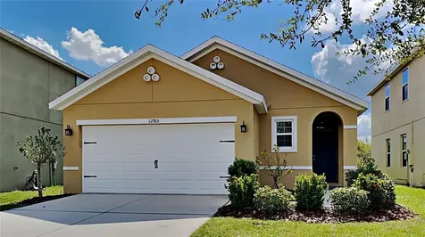 12015 Suburban Sunrise Street Riverview FL 33578