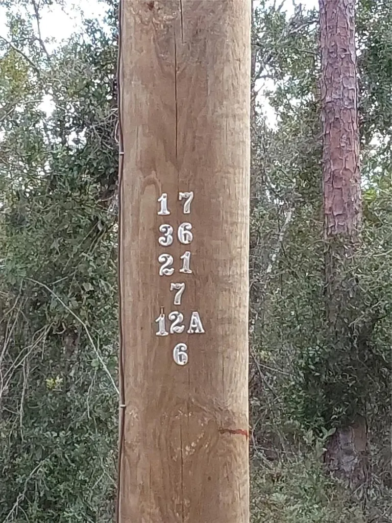 Lot 29 S Shore Drive Lake Wales FL 33898