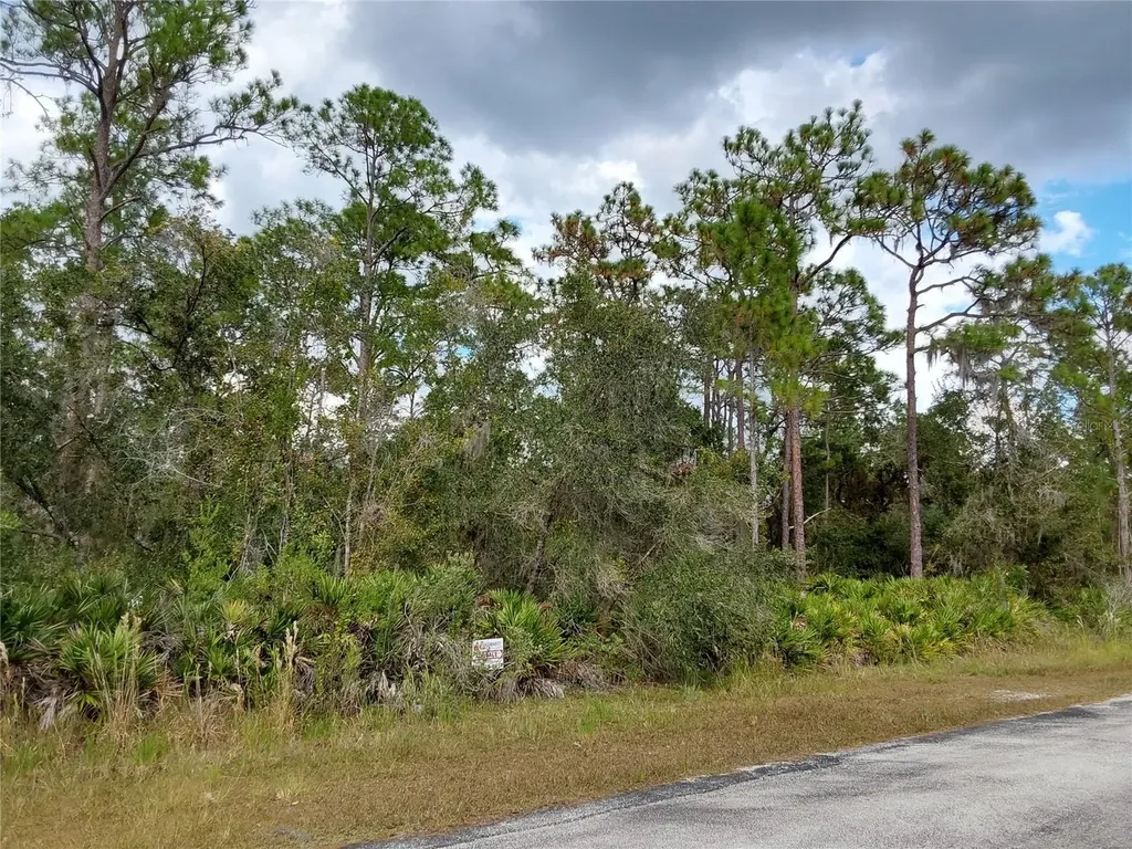 Lot 29 S Shore Drive Lake Wales FL 33898