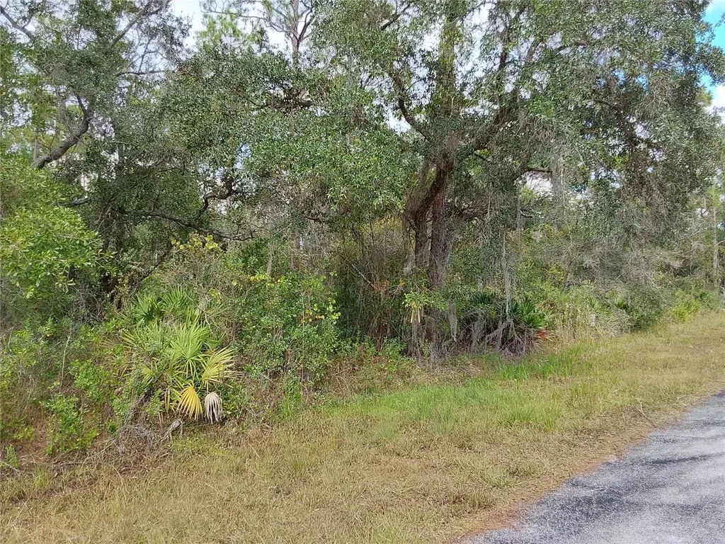 Lot 29 S Shore Drive Lake Wales FL 33898