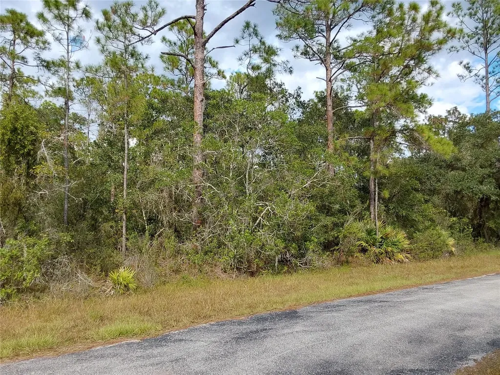 Lot 29 S Shore Drive Lake Wales FL 33898