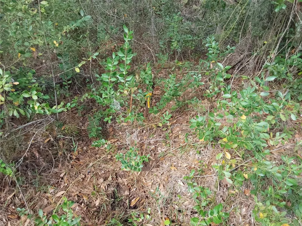 Lot 29 S Shore Drive Lake Wales FL 33898