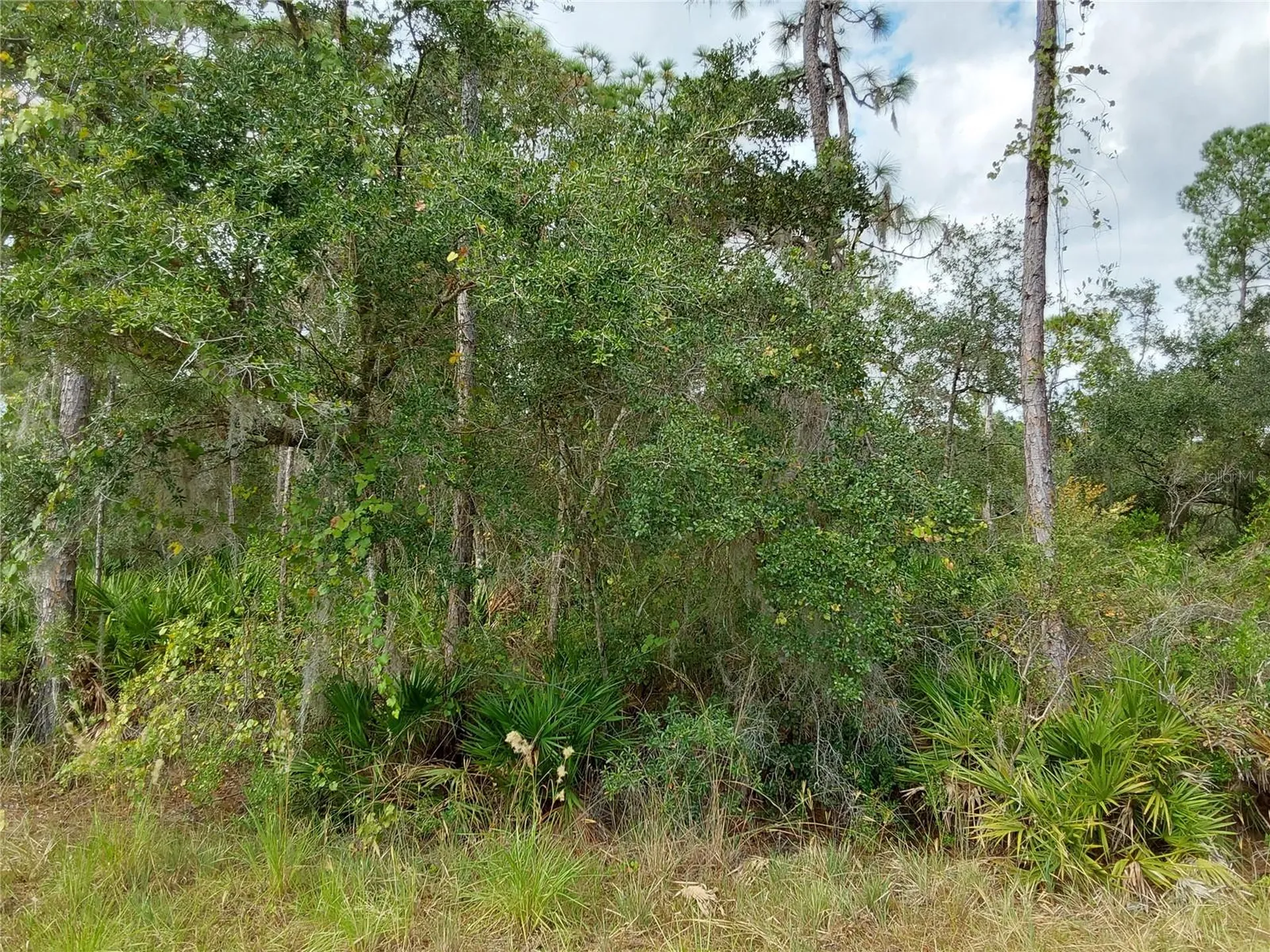 Lot 29 S Shore Drive Lake Wales FL 33898