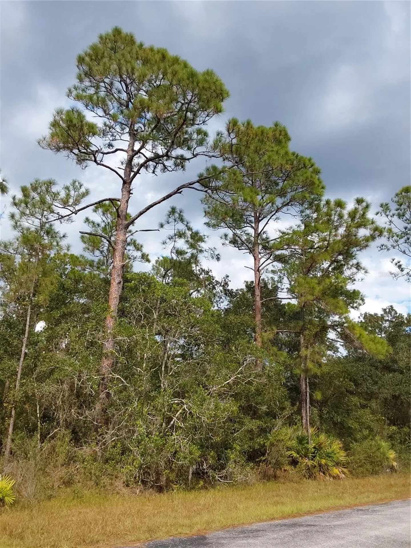 Lot 29 S Shore Drive Lake Wales FL 33898