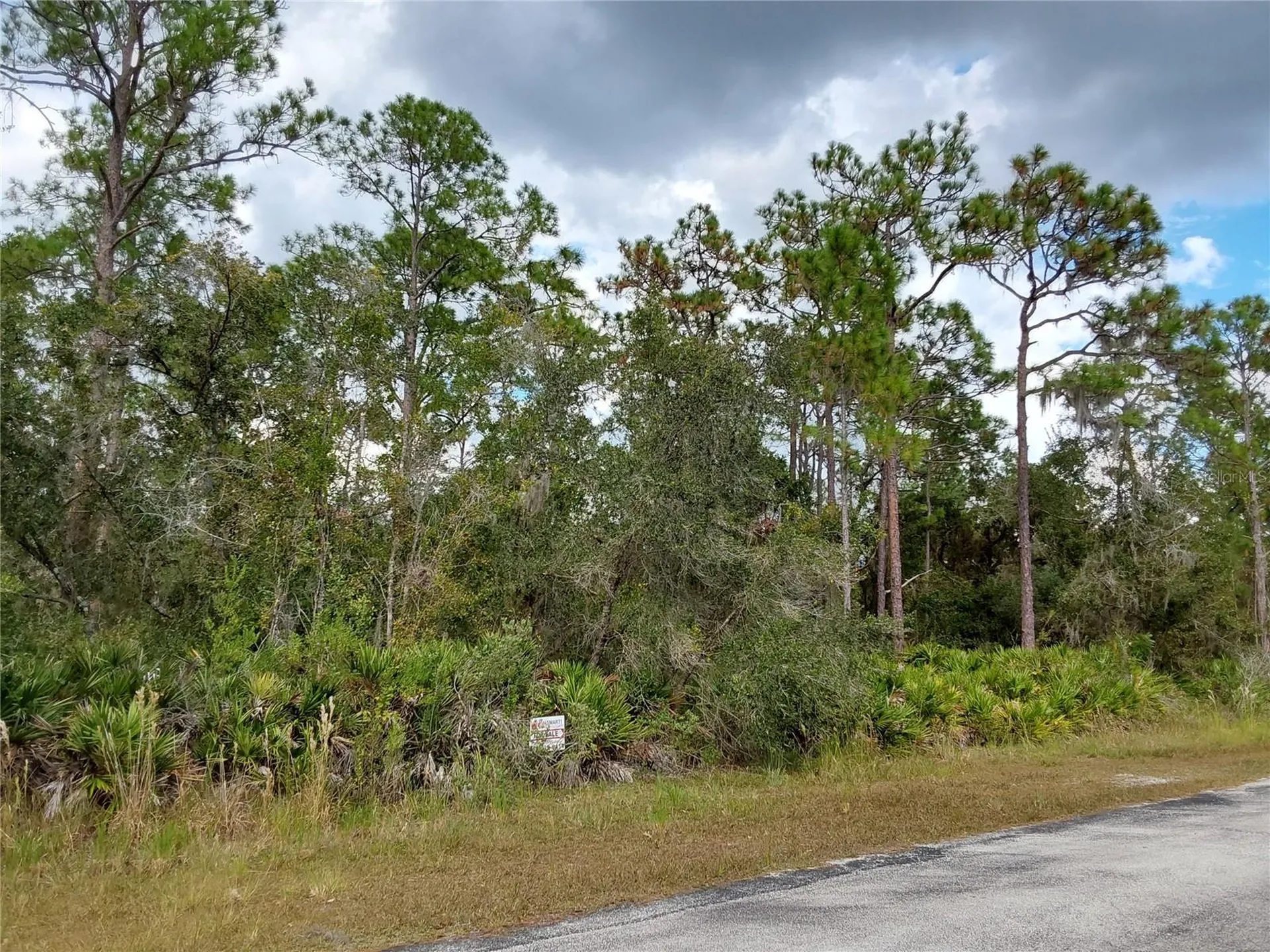 Lot 29 S Shore Drive Lake Wales FL 33898