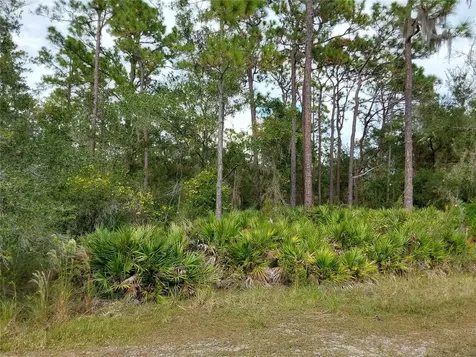 Lot 29 S Shore Drive Lake Wales FL 33898