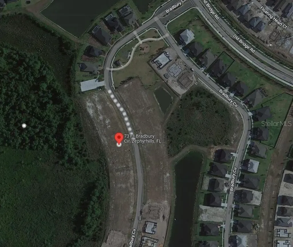 7313 Bradbury Circle Wesley Chapel FL 33545