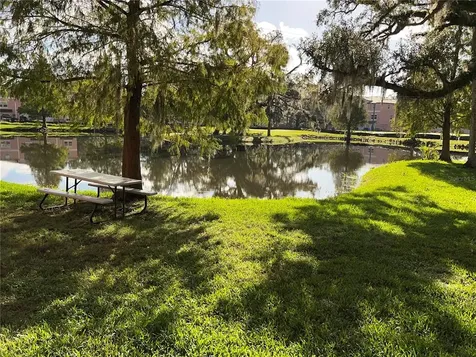 4753 Tuscan Loon Drive Tampa FL 33619
