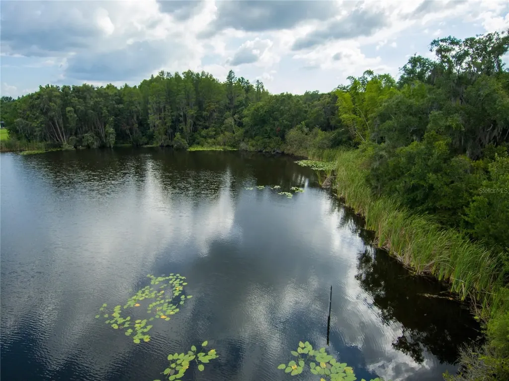 Carson Drive Land O Lakes FL 34639