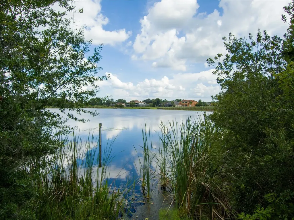 Carson Drive Land O Lakes FL 34639