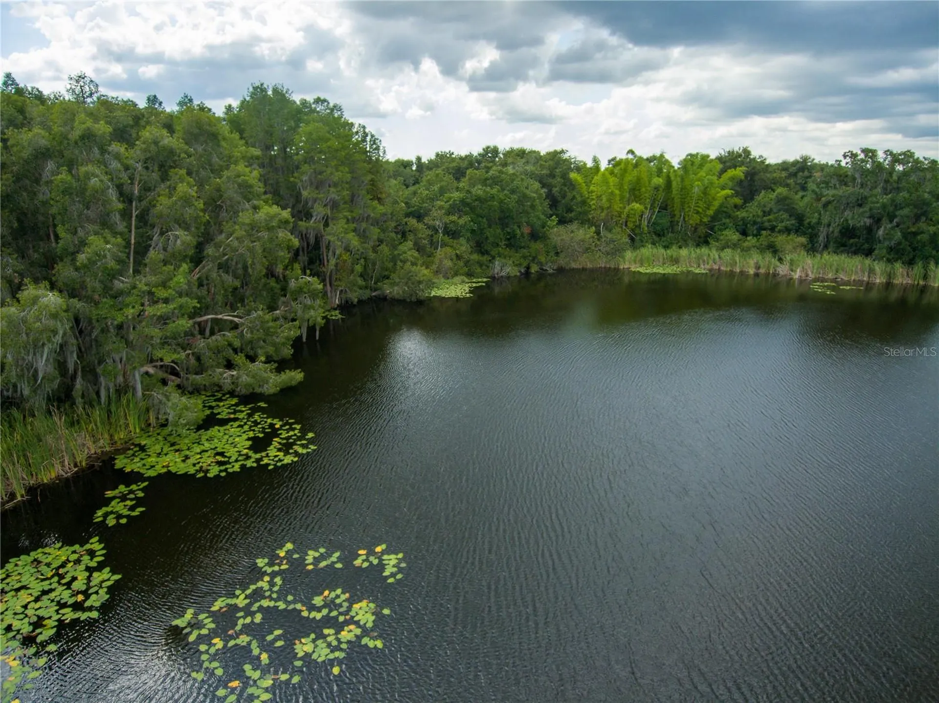 Carson Drive Land O Lakes FL 34639