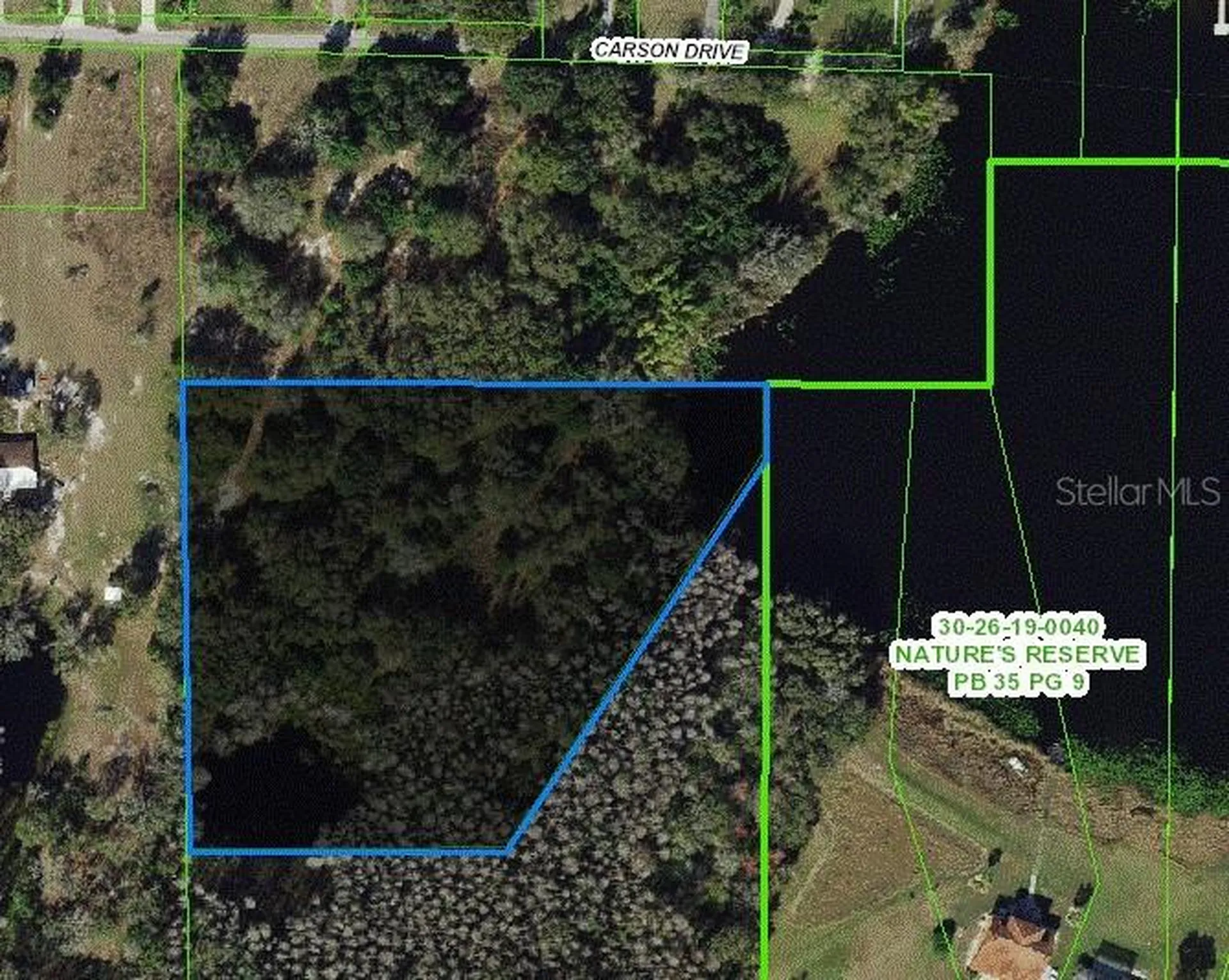 Carson Drive Land O Lakes FL 34639