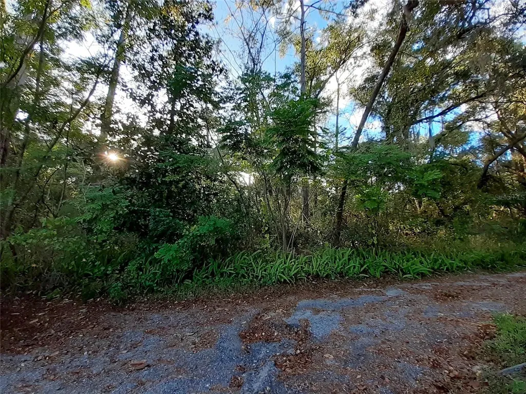 Blue Ridge Avenue Orange City FL 32763