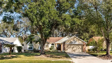 7208 Hiawassee Oak Drive Orlando FL 32818