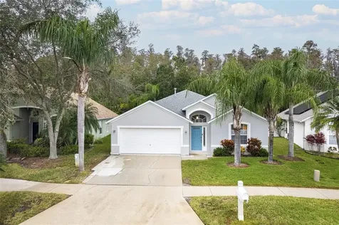1251 Horsemint Lane Wesley Chapel FL 33543