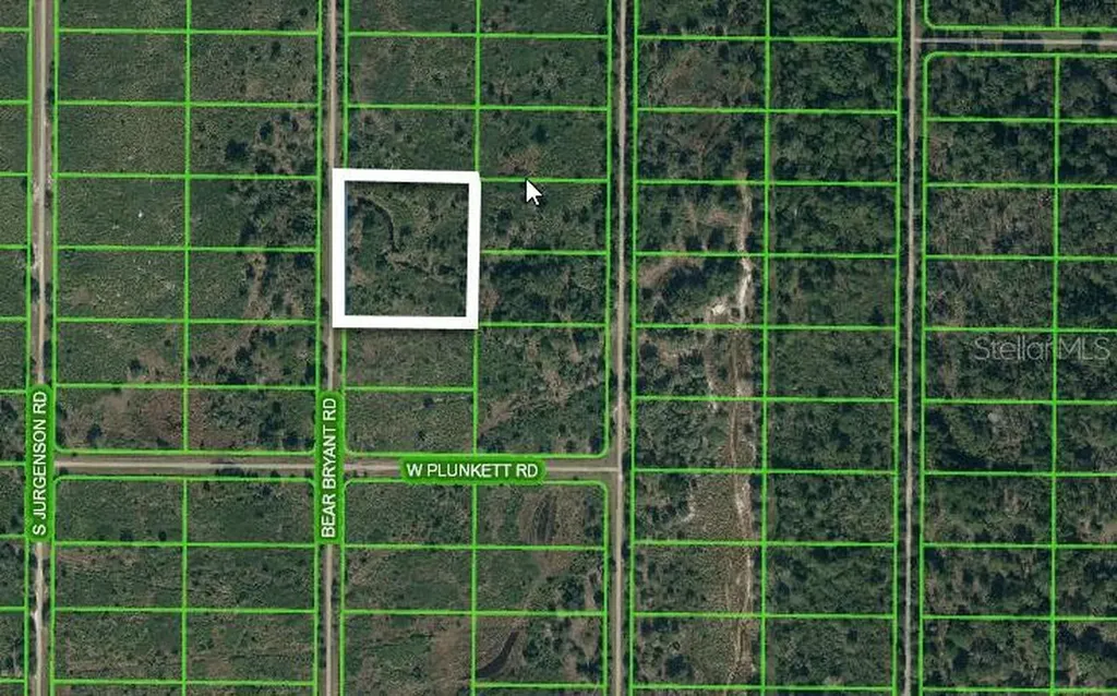 1859 Bear Bryant Road Avon Park FL 33825