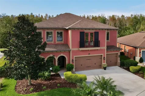 28401 Marsciano Lane Wesley Chapel FL 33543