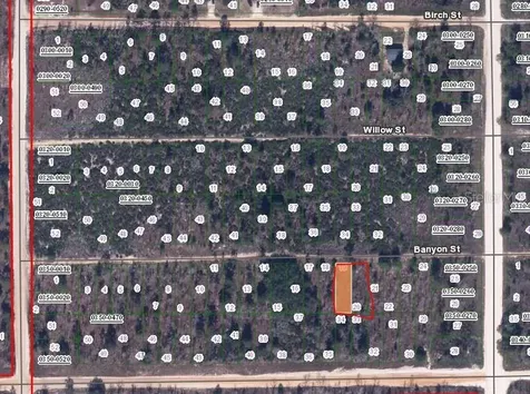 Banvon Interlachen FL 32148