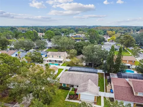 15903 Countrybrook Street Tampa FL 33624