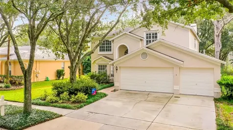 9313 Poplar Creek Court Tampa FL 33647