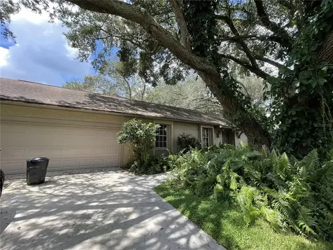 4110 Helene Place Valrico FL 33594