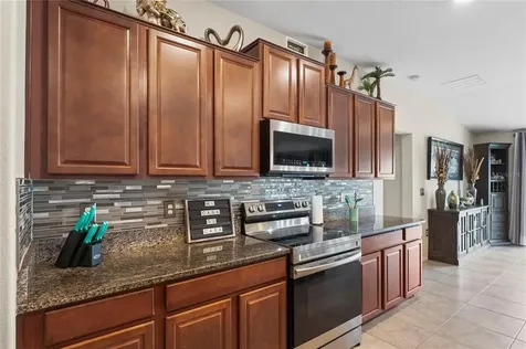 14037 Arbor Pines Drive Riverview FL 33579