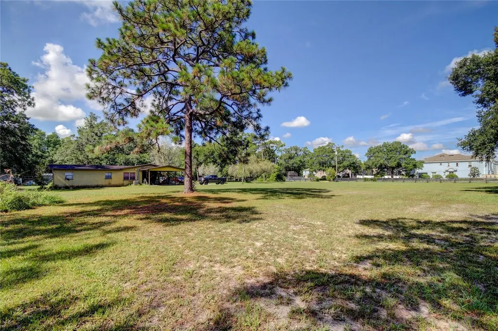 12853 Olive Jones Road Tampa FL 33625