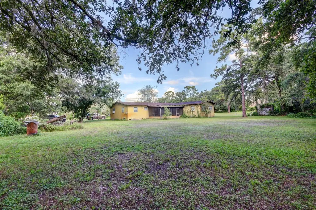 12853 Olive Jones Road Tampa FL 33625