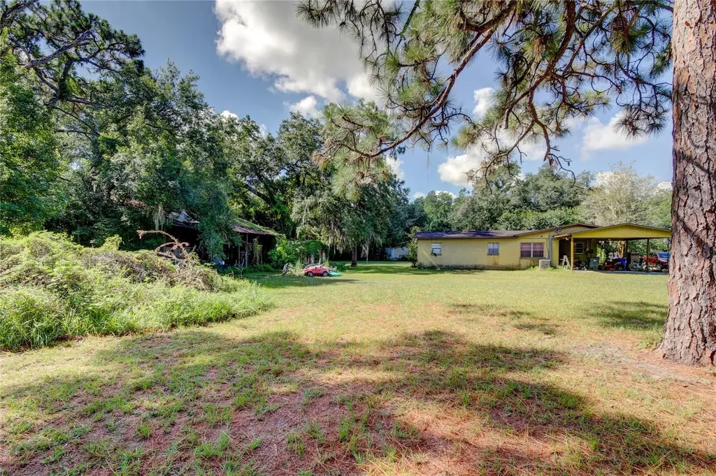 12853 Olive Jones Road Tampa FL 33625