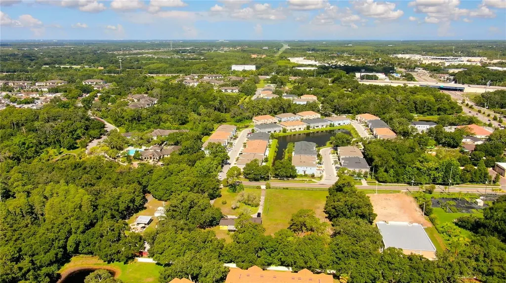12853 Olive Jones Road Tampa FL 33625