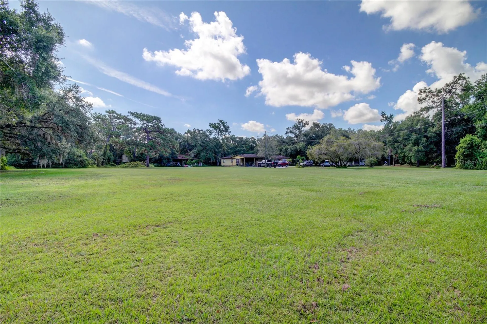 12853 Olive Jones Road Tampa FL 33625