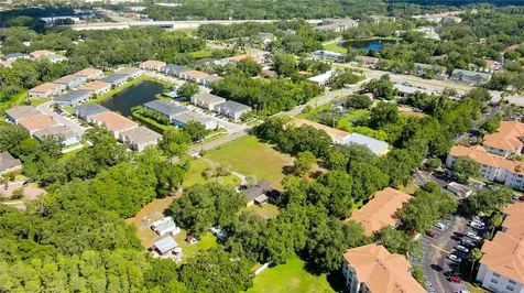 12853 Olive Jones Road Tampa FL 33625