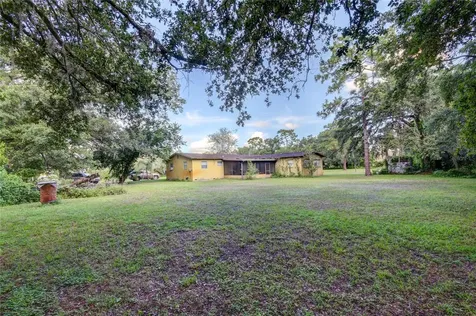12853 Olive Jones Road Tampa FL 33625