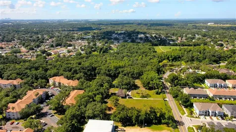 12853 Olive Jones Road Tampa FL 33625