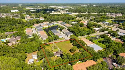 12853 Olive Jones Road Tampa FL 33625