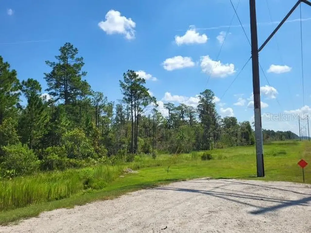 S Apopka Vineland Orlando FL 32821