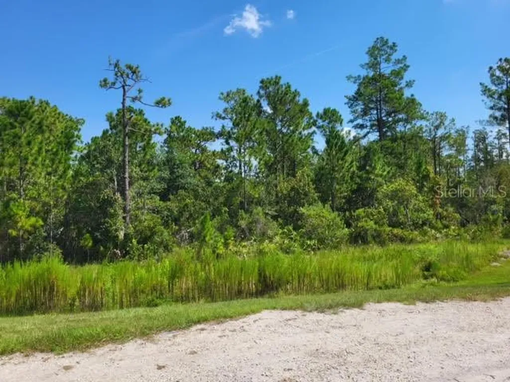 S Apopka Vineland Orlando FL 32821