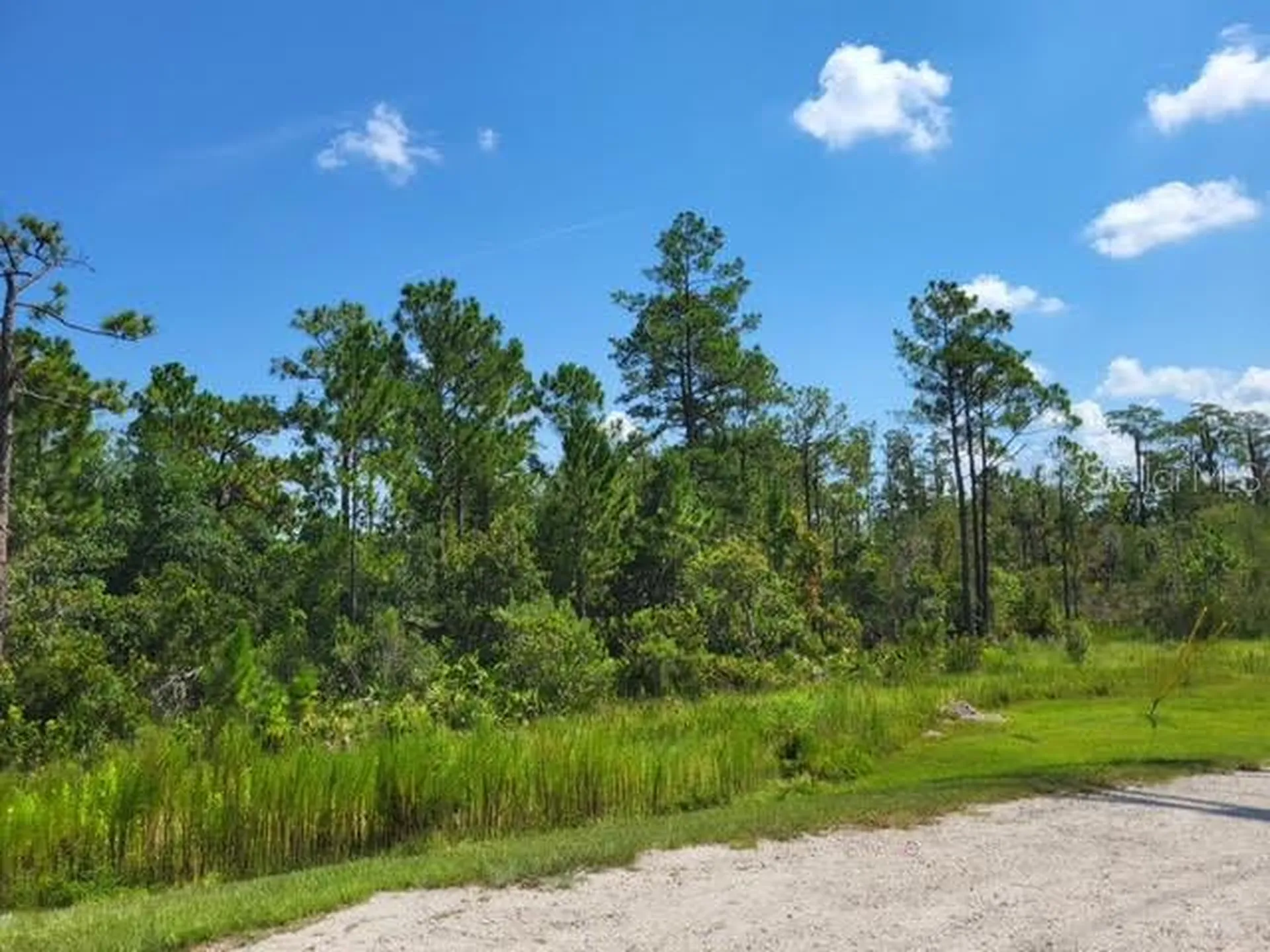 S Apopka Vineland Orlando FL 32821