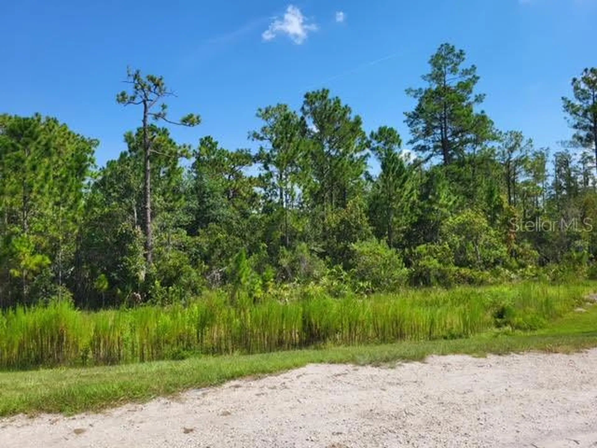 S Apopka Vineland Orlando FL 32821